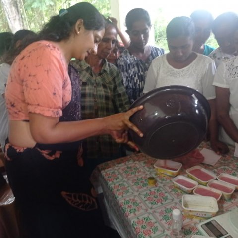Soap Manufacturing Training Program and Attitude Development Program on Food and Nutrition